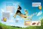 Preview: Entdecke die Hunde